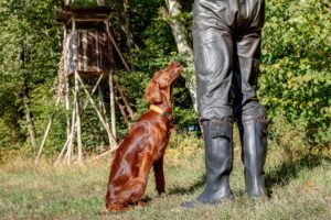 Treningsline for jakthunder